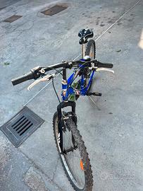 bicicletta 