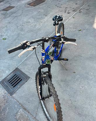 bicicletta 