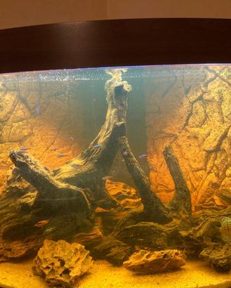 pietre per acquario