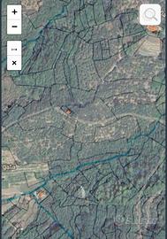 Terreno agricolo uliveto