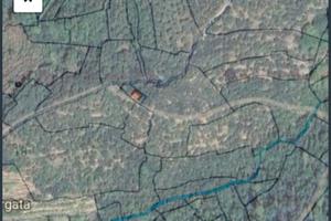 Terreno agricolo uliveto