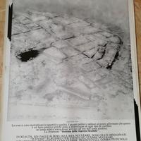 Poster Reggio Emilia: dopo