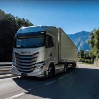 Autista Camion - 30 anni esperienza - Pronto subit