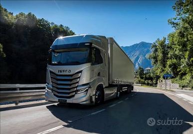 Autista Camion - 30 anni esperienza - Pronto subit