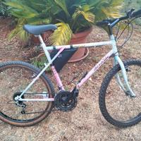 Bici mtb 26