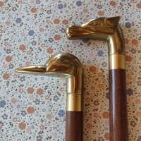2 bastoni da passeggio animati 