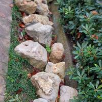 Roccia/ pietra ornamentale