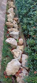 Roccia/ pietra ornamentale