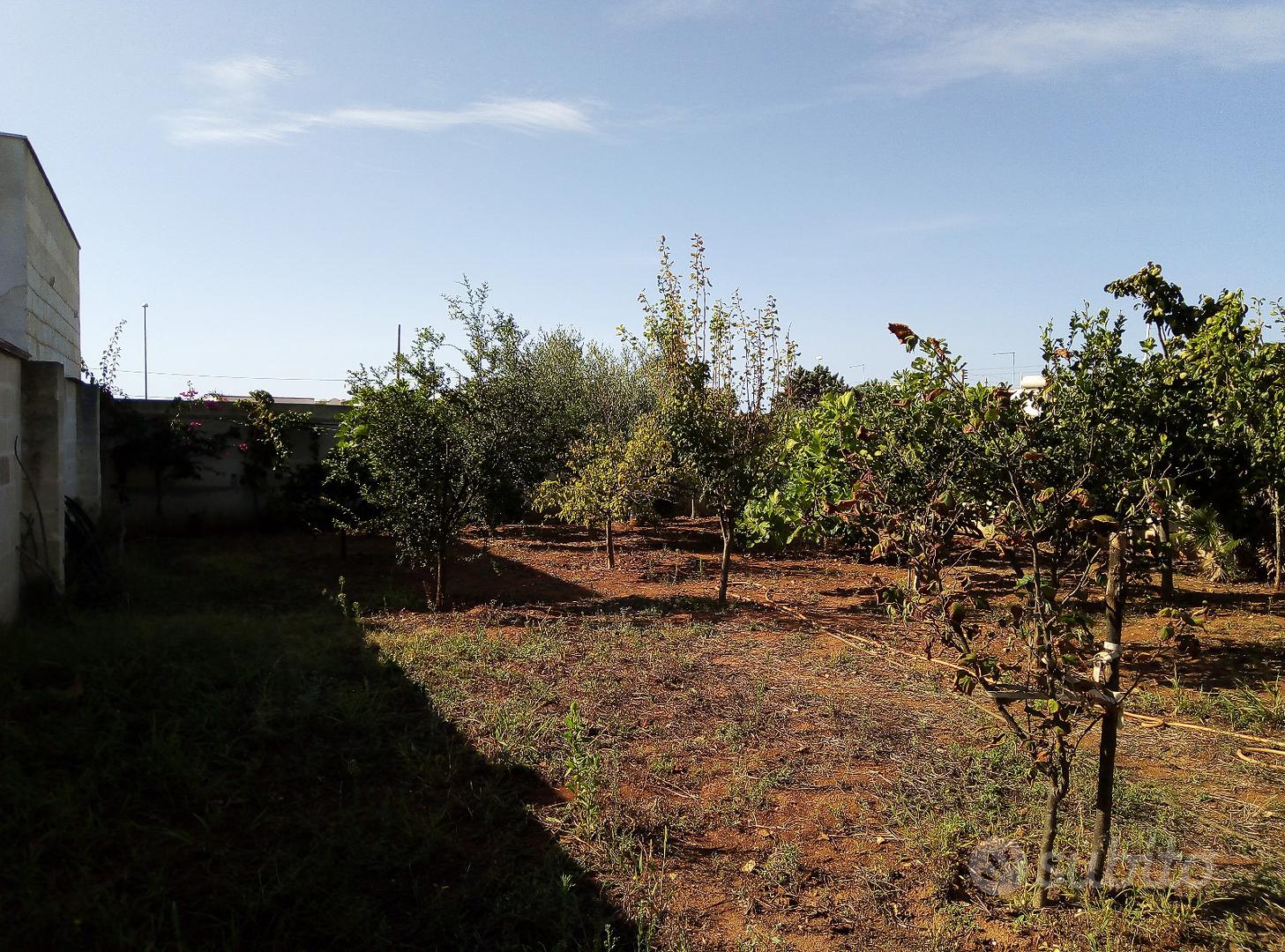 Terreno posizionato tra le abitazioni - Vista 5