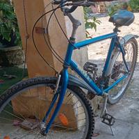 Bicicletta Nuzzi
