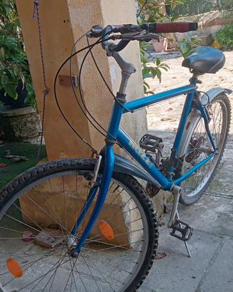 Bicicletta Nuzzi