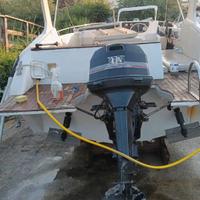 Johnson 115 cv 2 tempi mod spl