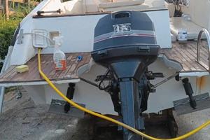 Johnson 115 cv 2 tempi mod spl