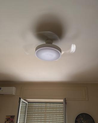 Ventilatore a soffitto