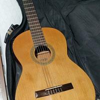 chitarra per principianti
