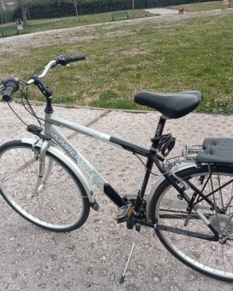 bicicletta uomo 