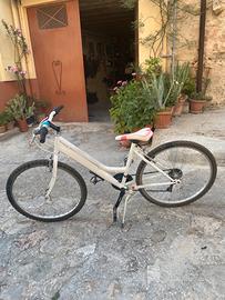 Bicicletta