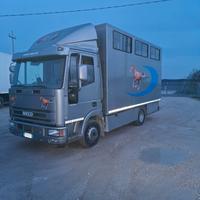 Van trasporto cavalli