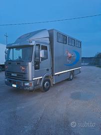 Van trasporto cavalli