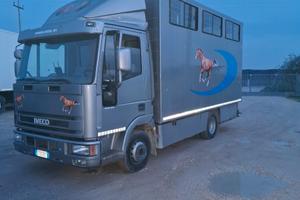 Van trasporto cavalli