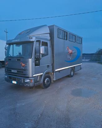 Van trasporto cavalli