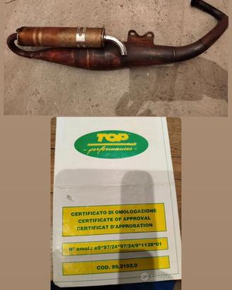 Mamritta top per scarabeo