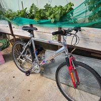 bici mtb