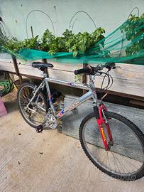 bici mtb