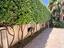 Immagine 26