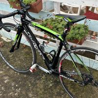 Triestina wilier gtr