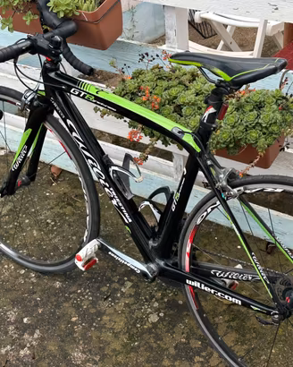Triestina wilier gtr