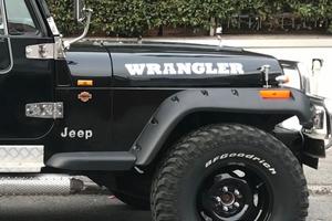Jeep yj wrangler epoca spettacolo