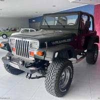 JEEP Wrangler 4.0 Hard top SHARA