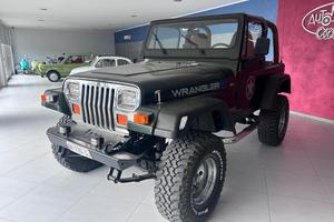 JEEP Wrangler 4.0 Hard top SHARA