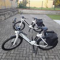 E-bike bird