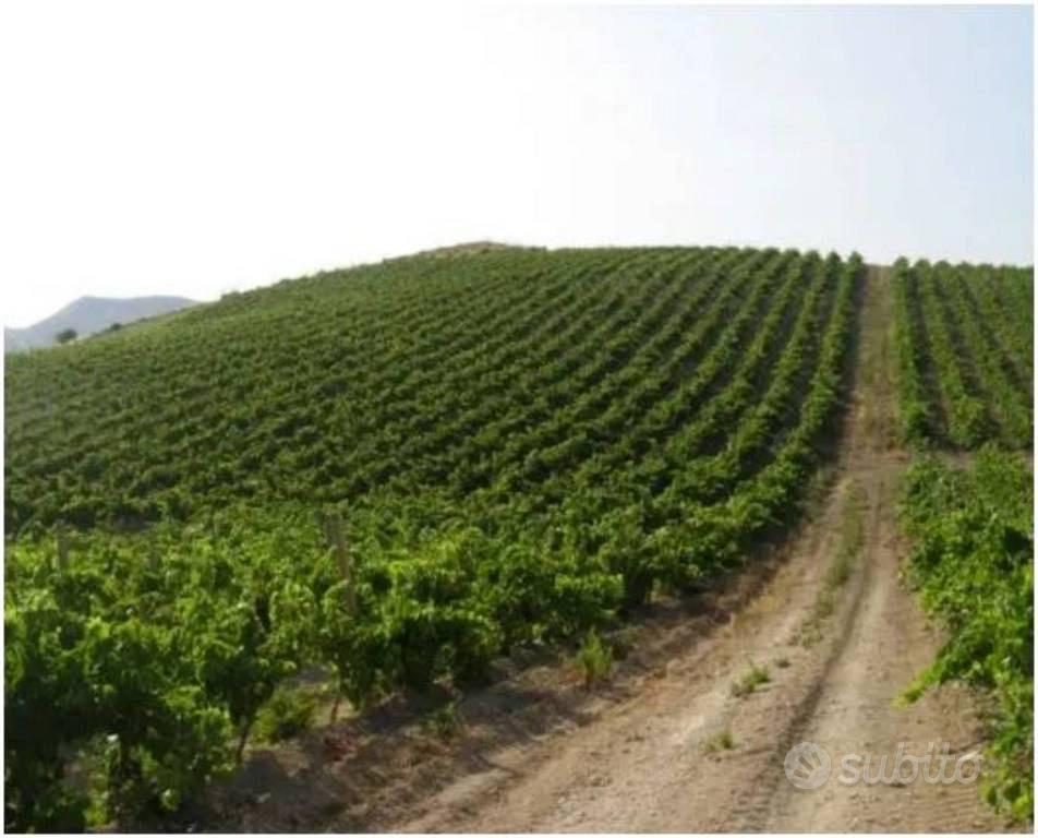 Immobile in asta di 109000 m² a Butera - Vista 3