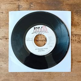 Disco 45 giri reggae Mykal Roze  Dry Weather Frien