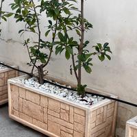 Fioriere in cemento stampato con pianta siepe