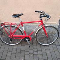 BICI SPORTIVA marca ALPINA