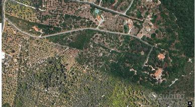 Bel Terreno a Logulentu mq 13981