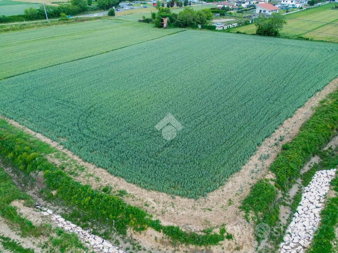 TER. AGRICOLO A TREZZANO ROSA - Vista 2