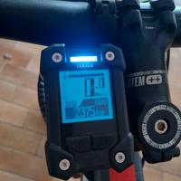 bici ebike