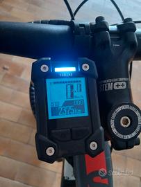 bici ebike
