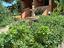 Immagine 9