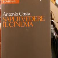 Saper vedere il cinema