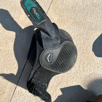 Varie stinchiere posteriori cavallo