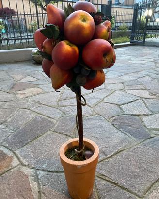 Vaso di coccio con frutta