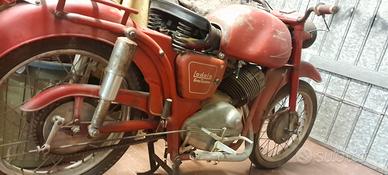 Moto Guzzi lodola 235GT - 1959