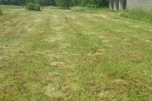 Terreno agricolo