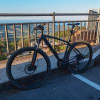 MTB Lee Cougan Rebel 29 Taglia L